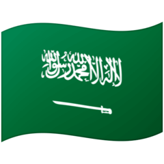 Google flag: Saudi Arabia