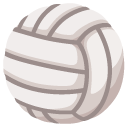 Google volleyball
