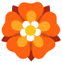 Google rosette