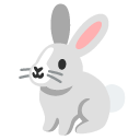 Google rabbit