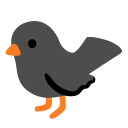 Google black bird
