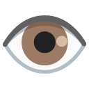 Google eye