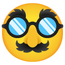 Google disguised face