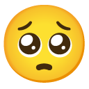 Google pleading face