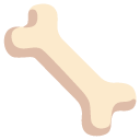Google bone
