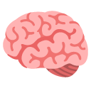 Google brain