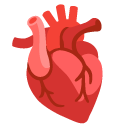 Google anatomical heart