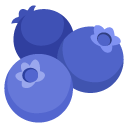 Google blueberries