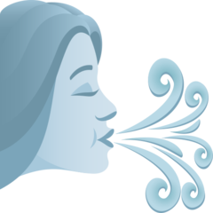 JoyPixels wind face