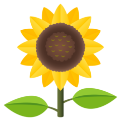 JoyPixels sunflower