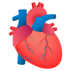 JoyPixels anatomical heart