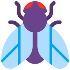 Microsoft fly