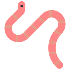 Microsoft worm