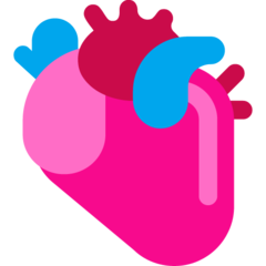 Microsoft anatomical heart