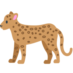 Mozilla leopard
