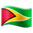 Samsung flag: Guyana