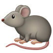 Samsung rat
