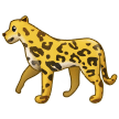 Samsung leopard