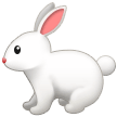 Samsung rabbit
