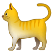 Samsung cat