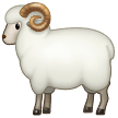 Samsung ram