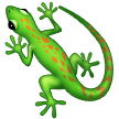 Samsung lizard