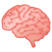 Samsung brain