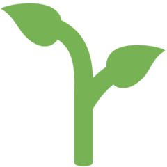 Twitter seedling
