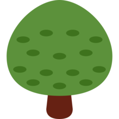 推特 树