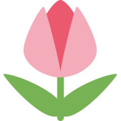 推特 郁金香