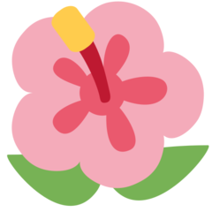 推特 芙蓉