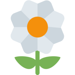 Twitter blossom