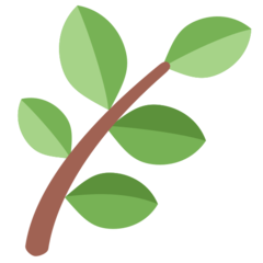 推特 草本植物