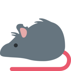 Twitter rat