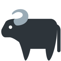Twitter water buffalo