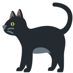推特 黑猫