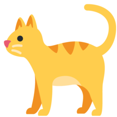 Twitter cat
