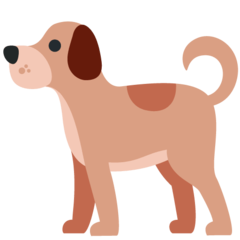 推特 狗