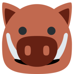 Twitter boar