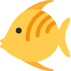 Twitter tropical fish