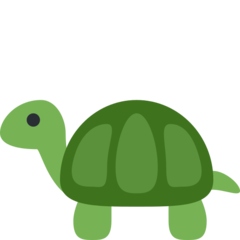 Twitter turtle