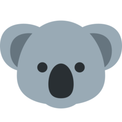 Twitter koala