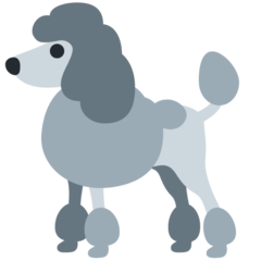 Twitter poodle