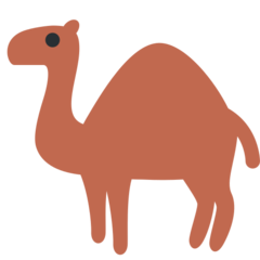 Twitter camel