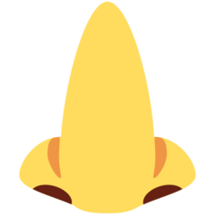 Twitter nose