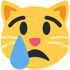 Twitter crying cat