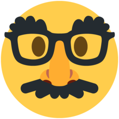 Twitter disguised face