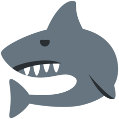 Twitter shark