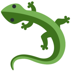 Twitter lizard