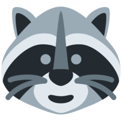 Twitter raccoon